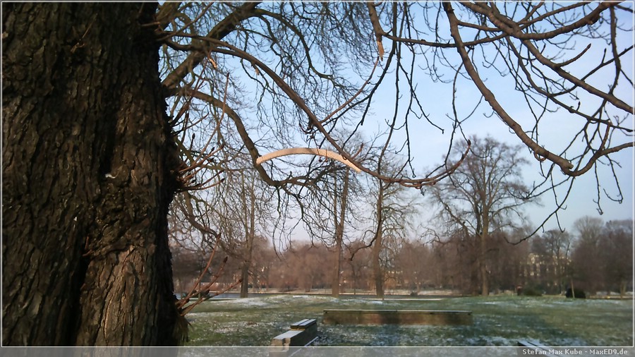 {sosu} Bügel an einem Baum