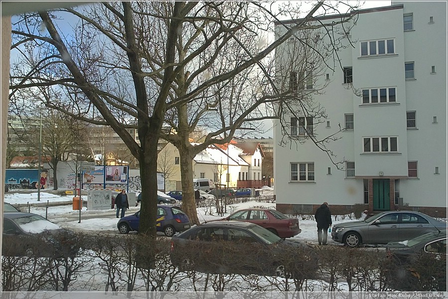 {baum} im letzten Winter