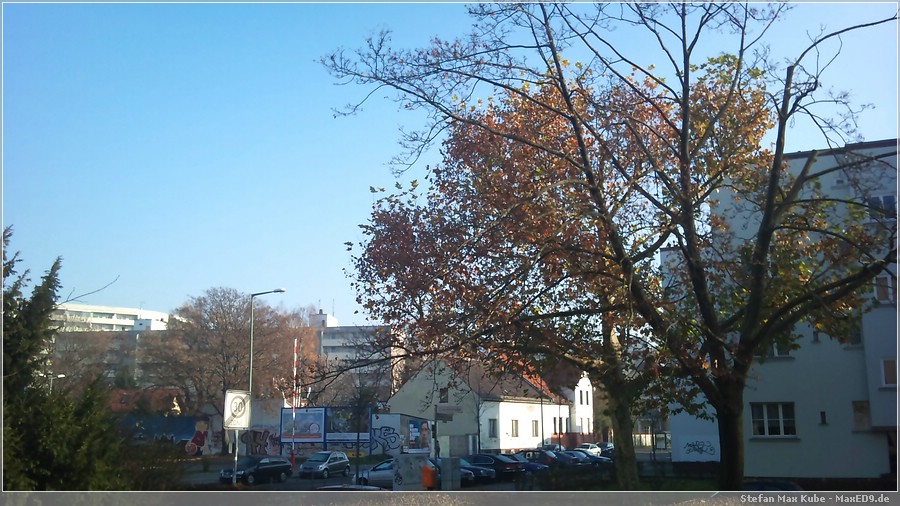 {baum} nackt im Herbst