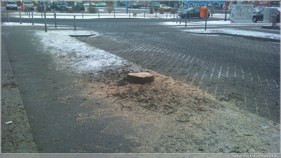 {baum} Was vom Baume übrig blieb
