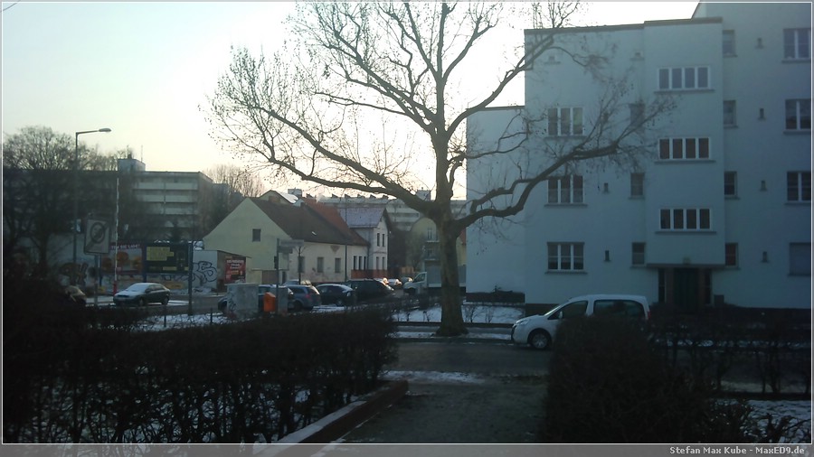 {baum} er bewacht ab jetzt allein die Kreuzung