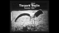 Tierpark