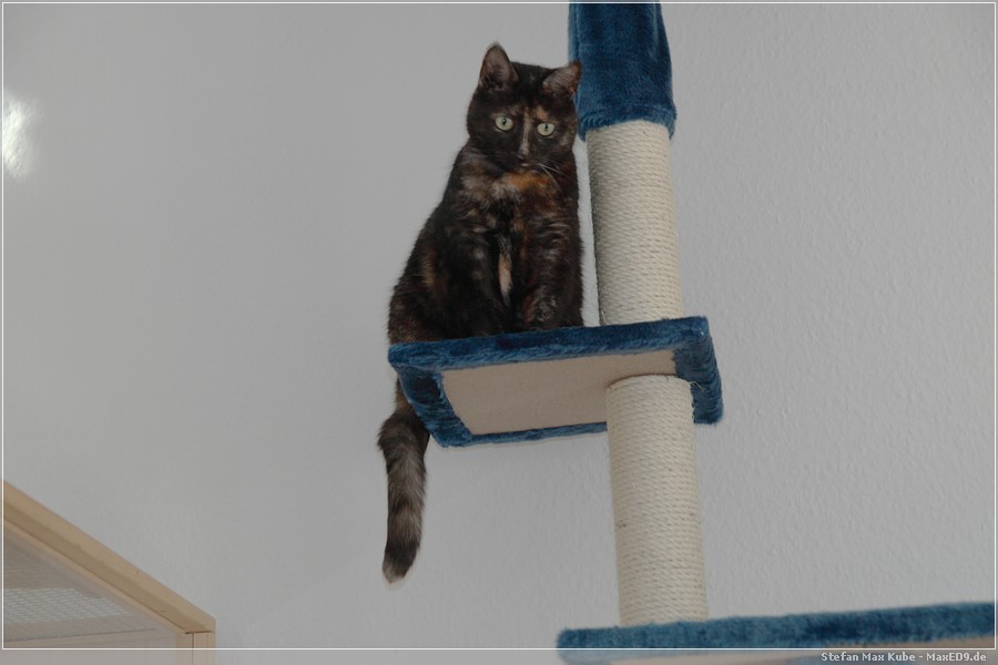 {kkb} Marcha mit Überblick