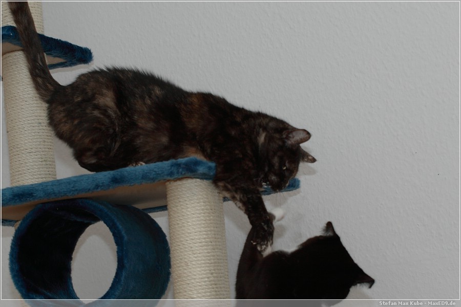 {kkb} das is mein Platz