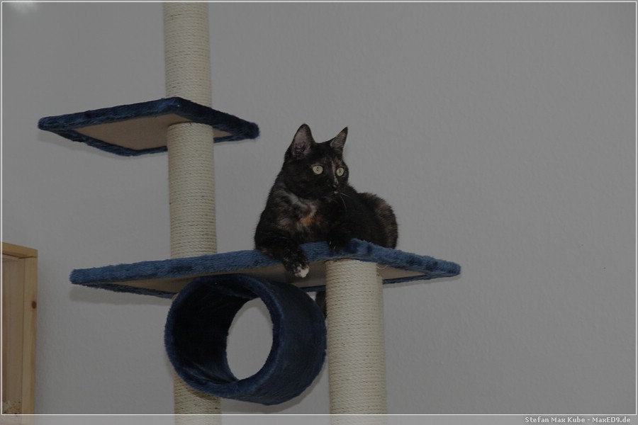 {kkb} hier ists schön