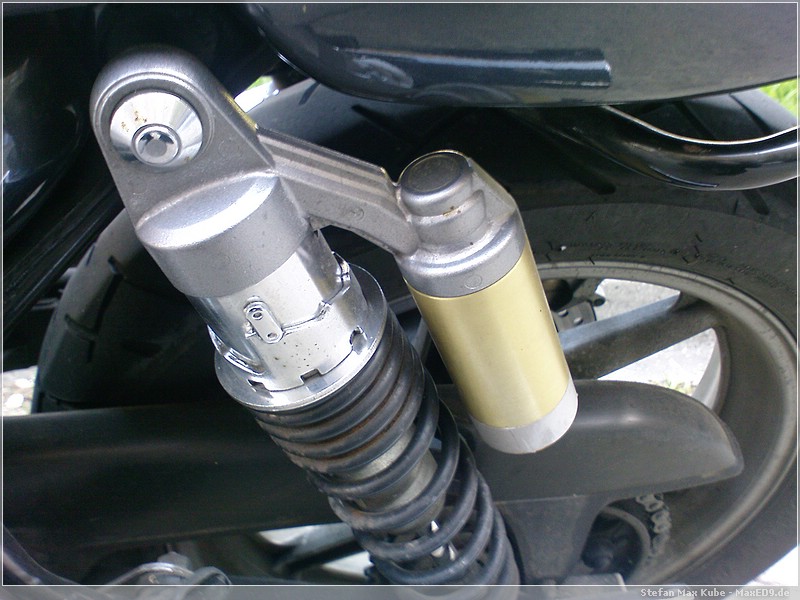 {hsf} hinteres Federbein