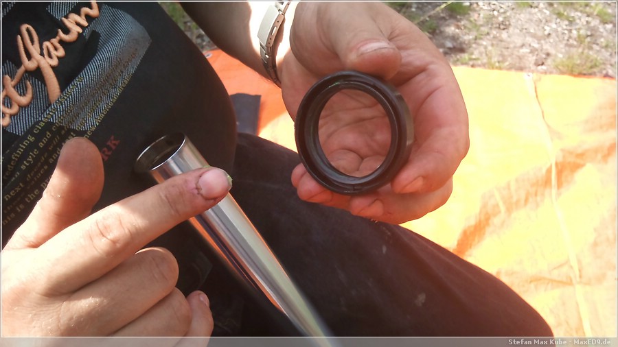 {sfg} der neue Gabeldichtring