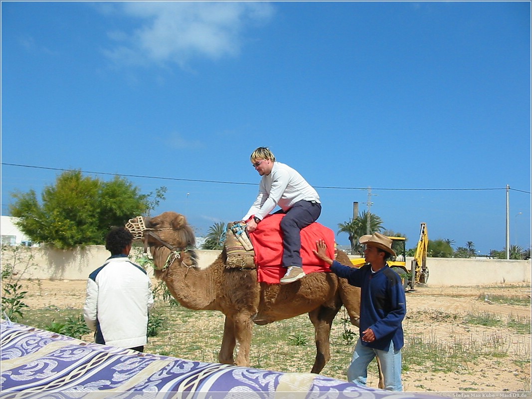 Dromedar-Reiten auf Djerba