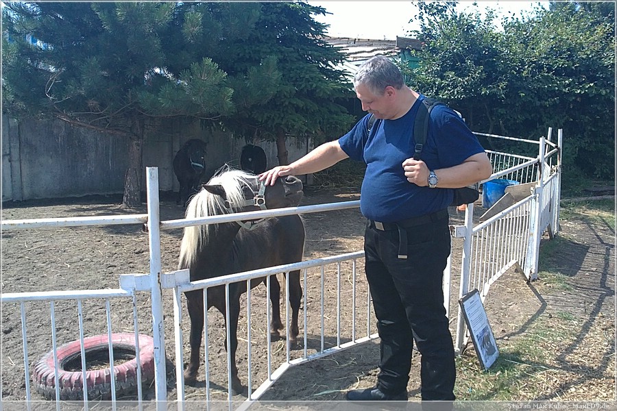 {hvl2} mein Bruder und das grinsende Pony