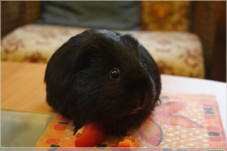 klein, stark, schwarz: Momo