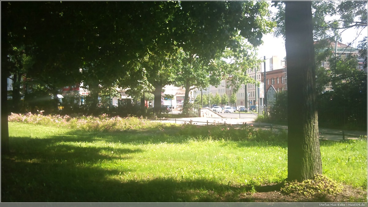 Sonne blitzt durch die Bäume