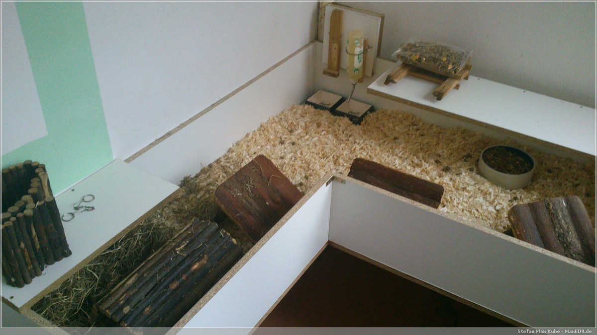 gleich dürfen die Schweinchen rein