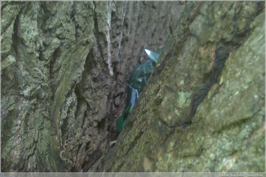 {dgc} exklusiver Spoiler