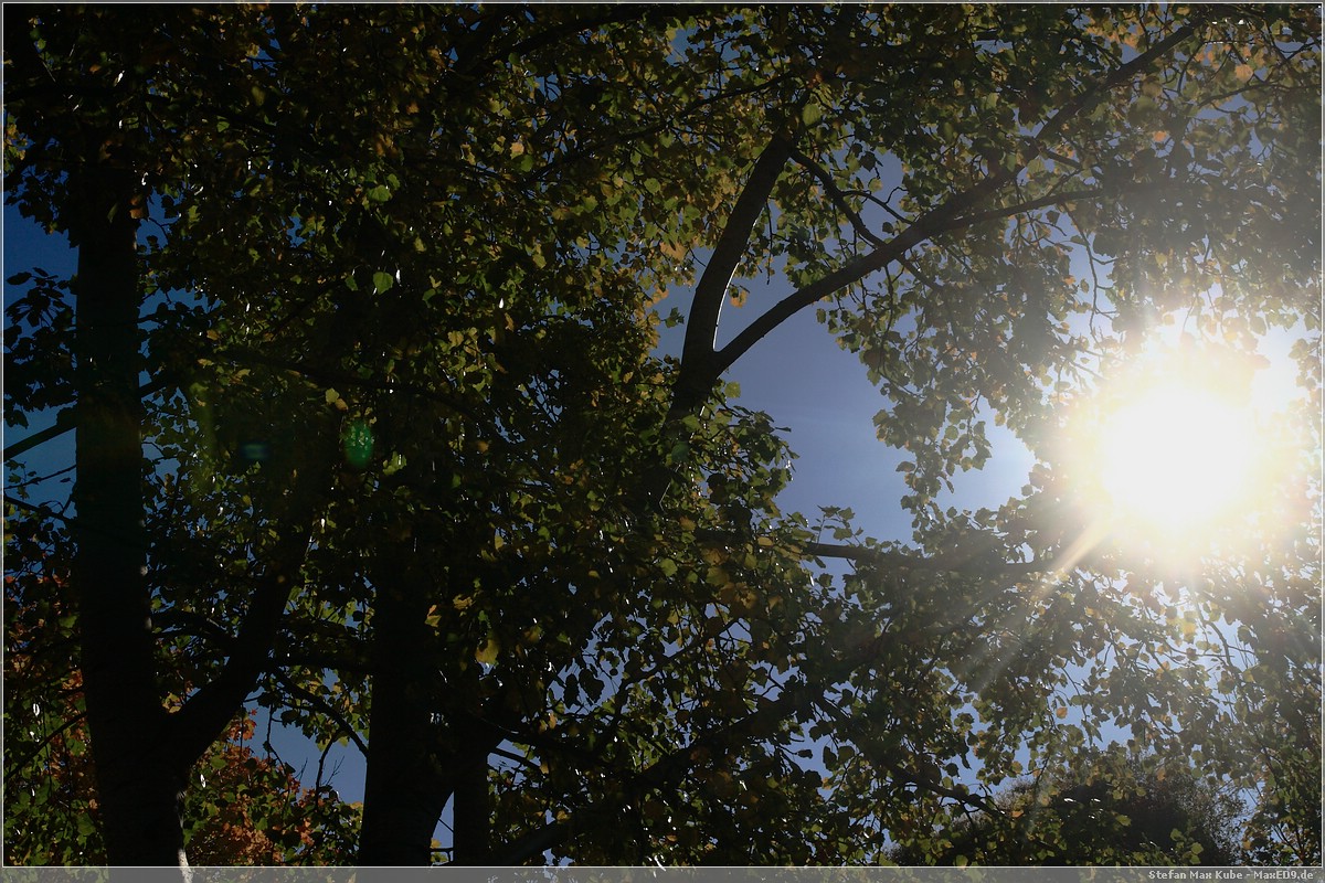 noch wärmt sie etwas