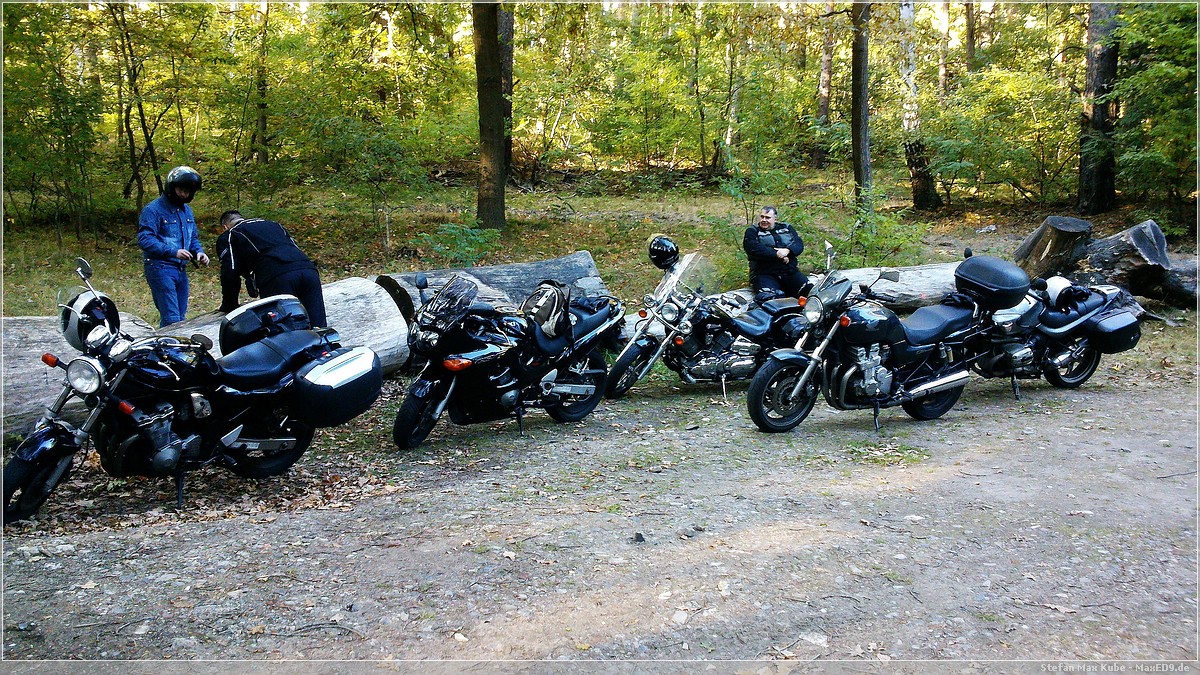 auf der Suche im Wald