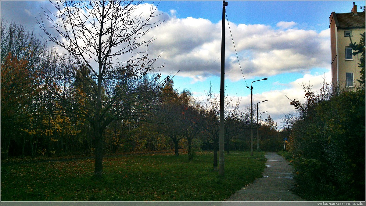 auf dem Mauerstreifen (S Wollankstr.)