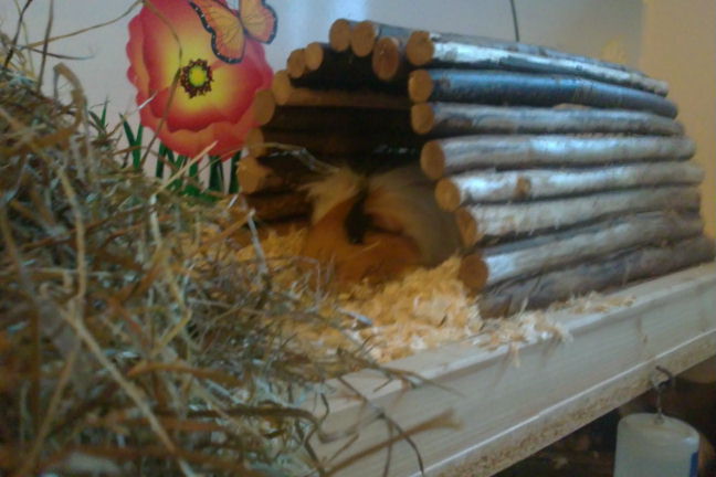 {ms} Cara ruht sich aus