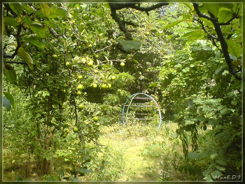 {bno} Lostplace Spielplatz