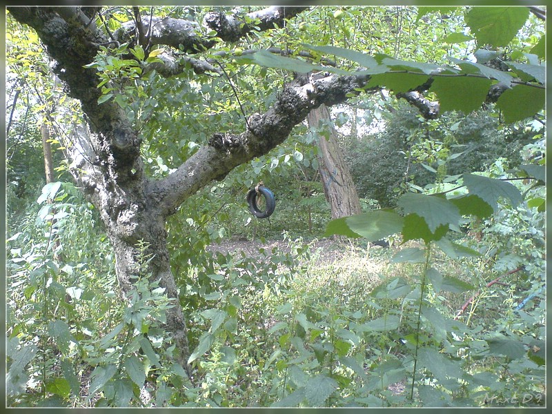 {bno} Lostplace Spielplatz