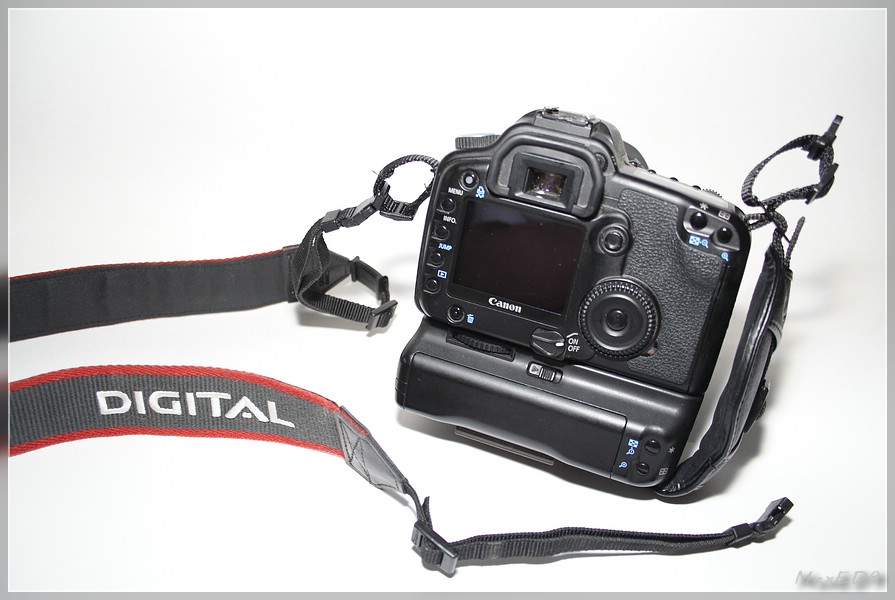 {gurt} Gurt an Kamera