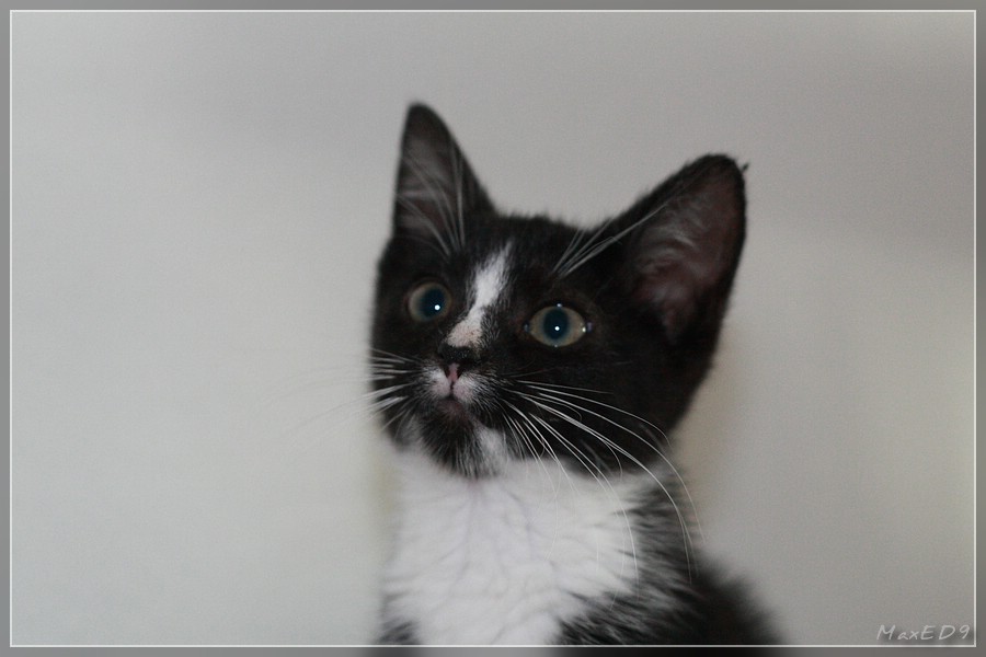 {pgf} Mein gewähltes Foto