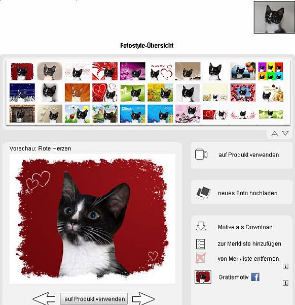 {pgf} Mein Foto und die Stil-Auswahl