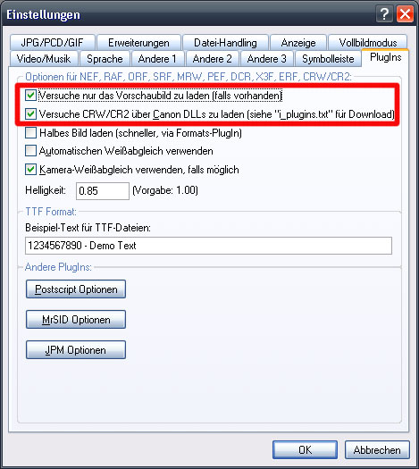 RAW Einstellungen Irfanview