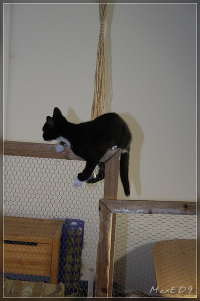 {kk} ganz schön wackelig