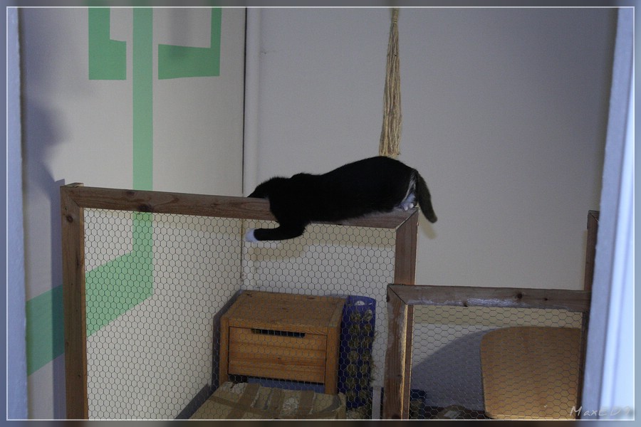 {kk} schön festhalten