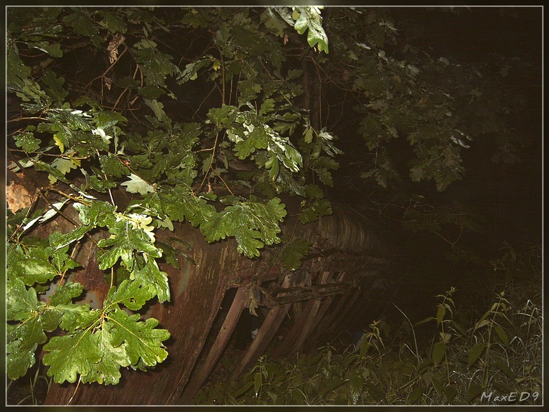 {mnt} seltsame Dinge