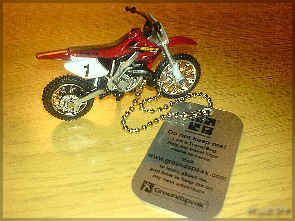 Motorcyclists Travel Bug