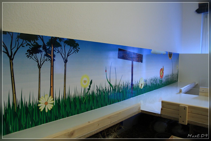 {msh} Folie ist geklebt