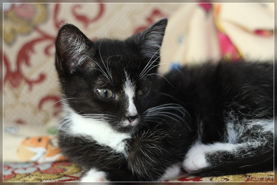 {kp} manchmal isser auch wach