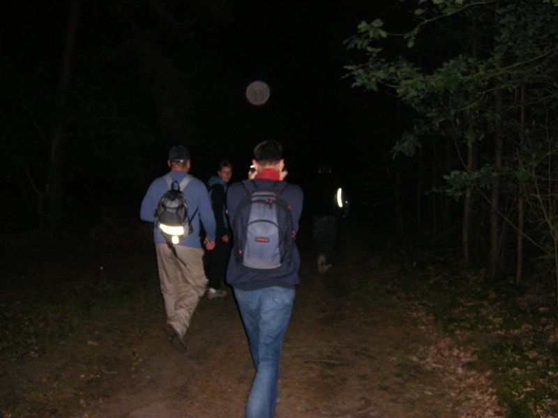 {egp} auf in den Wald