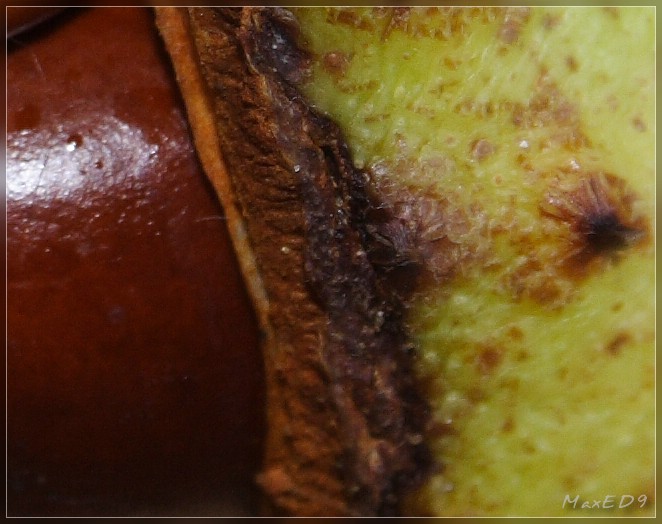 {riddle} Bilderrätsel